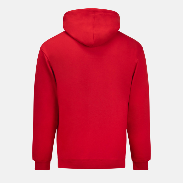 AFC X UECL HOODY