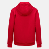AFC ADIDAS YOUTH HOODY IA0420