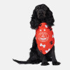 AFC DOG BANDANNA