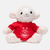 ADIL AOUSHEEP