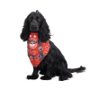 DONS DOG BANDANNA