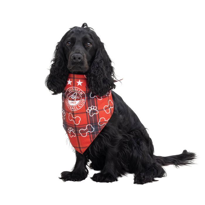 DONS DOG BANDANNA